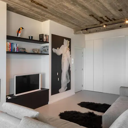 Logerenmetzeezicht Ostende